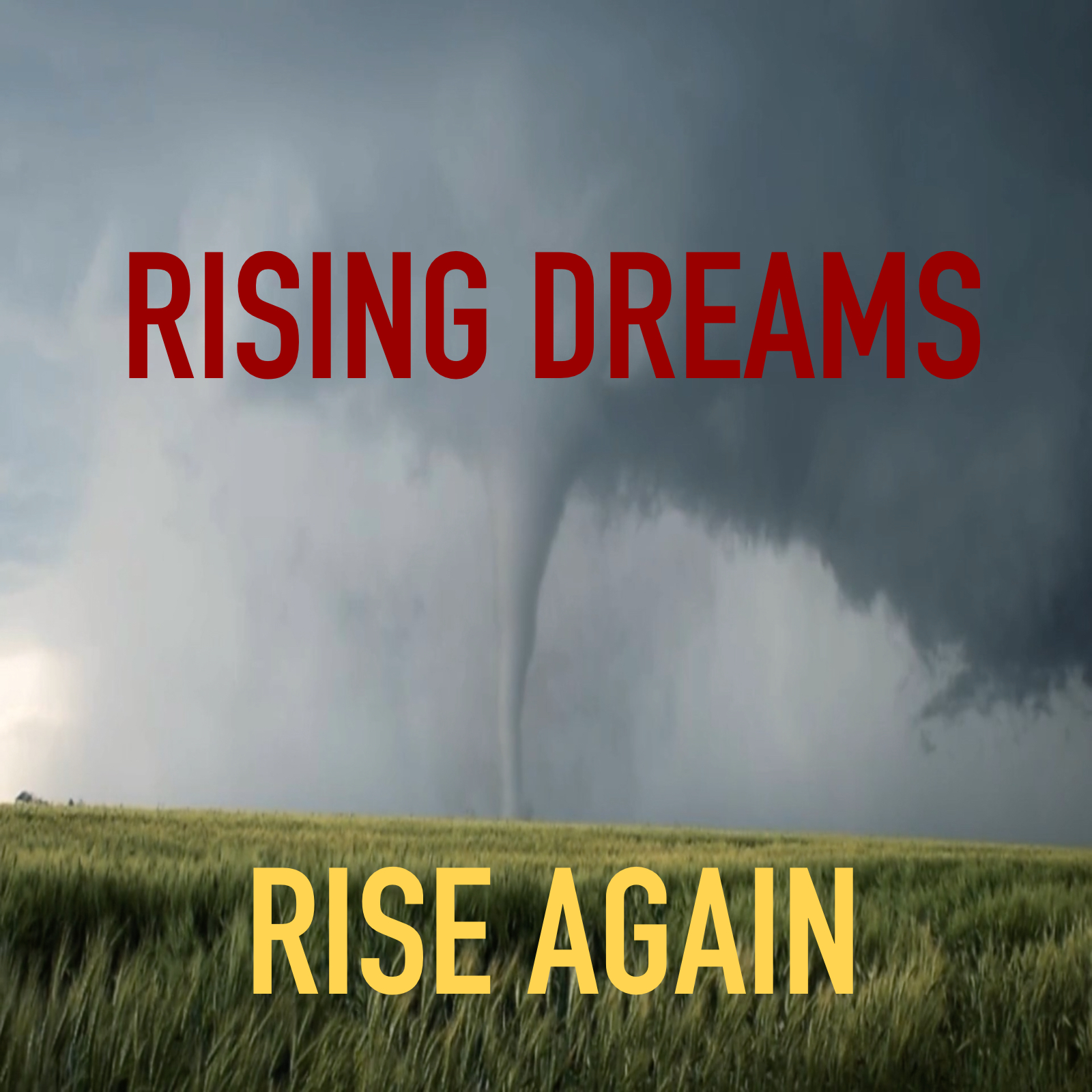 Rise Again